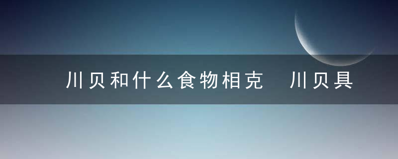 川贝和什么食物相克 川贝具体有什么功效